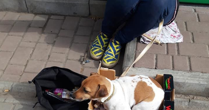 Одесситка подралась с попрошайками из-за собаки, украденной под Херсоном (ВИДЕО)