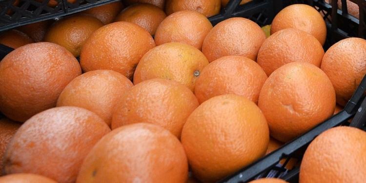 В Украину ввезли грейпфруты, обработанные  ядом. Есть их не советуют