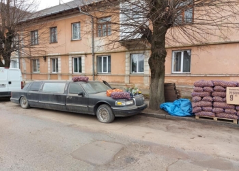 Роскошь как образ жизни: в Черновцах лимузин  Lincoln используют как прилавок для торговли картошкой