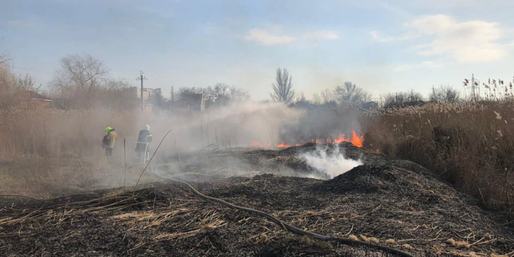 В Корабельном районе Николаева и у Матвеевки снова подожгли камыш – тушили спасатели (ФОТО)