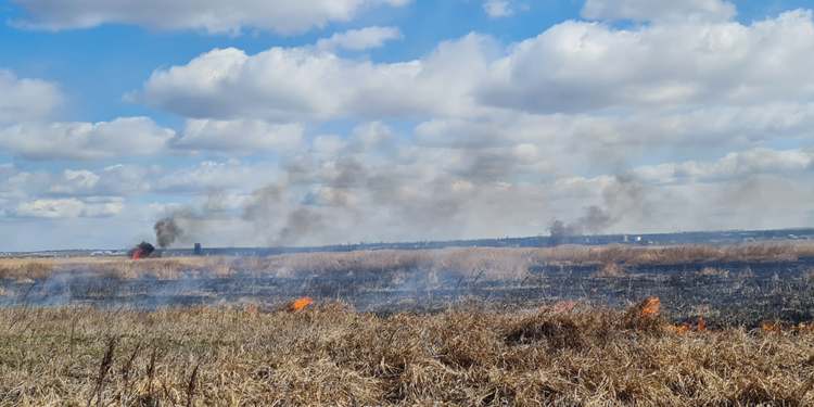 За сутки в Николаевской области выгорело более 8 га открытых территорий (ФОТО)
