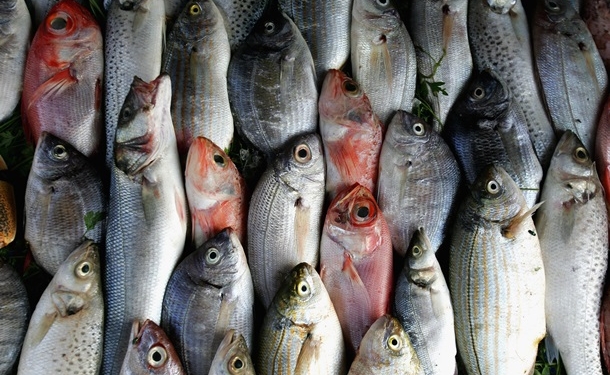 В 40% случаев в ресторанах и супермаркетах по всему миру продают фальсифицированные морепродукты