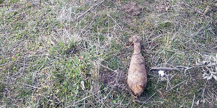 На Николаевщине пастух нашел минометную мину (ФОТО)