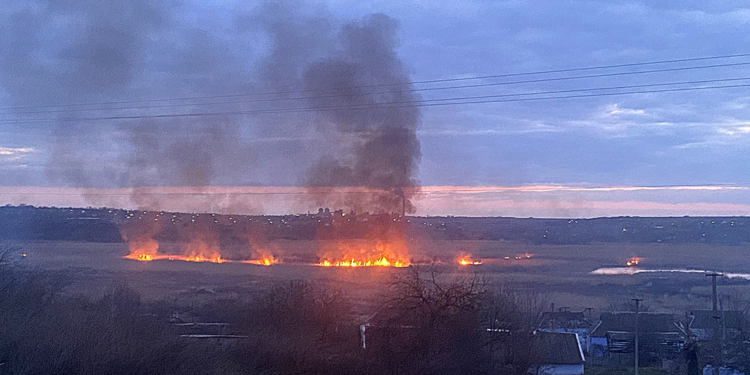 Опять жгут камыши. На Николаевщине выгорело свыше 6 га открытых территорий (ФОТО)
