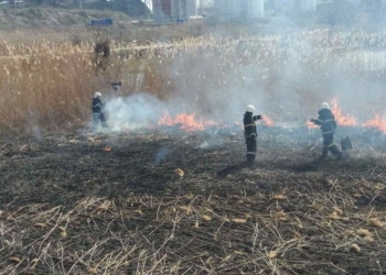 Снова поджог: на Намыве в Николаеве тушили камыши (ФОТО)