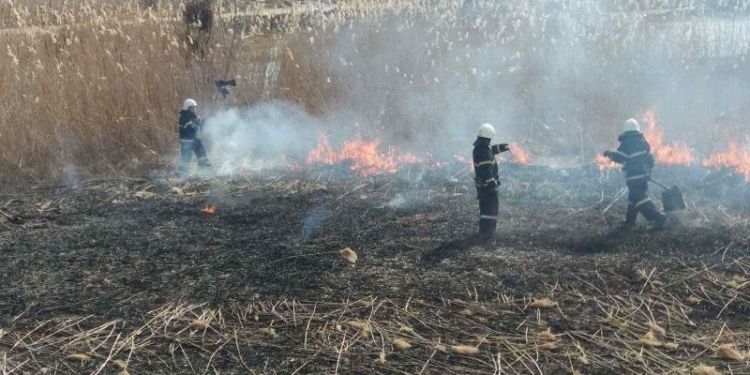 Снова поджог: на Намыве в Николаеве тушили камыши (ФОТО)