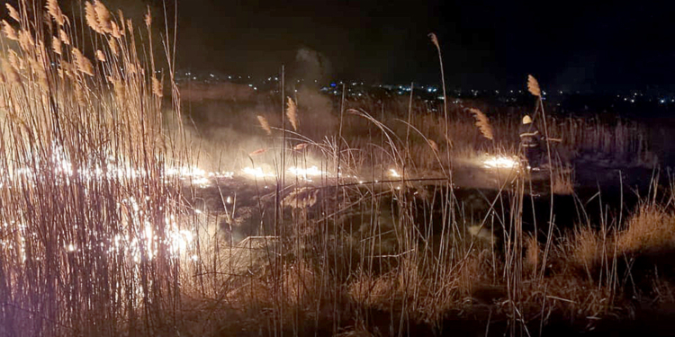 Опять поджоги: за сутки в Николаевской области выгорело 1,87 га открытых территорий (ФОТО)