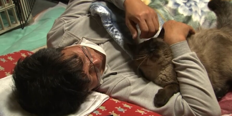 Мужчина остался в зараженной зоне Фукусимы, чтобы кормить котов (ВИДЕО)