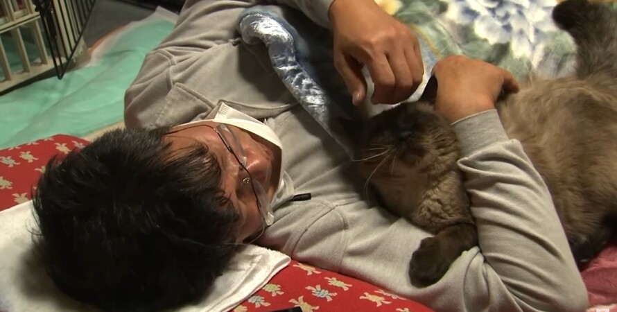 Мужчина остался в зараженной зоне Фукусимы, чтобы кормить котов (ВИДЕО) 3