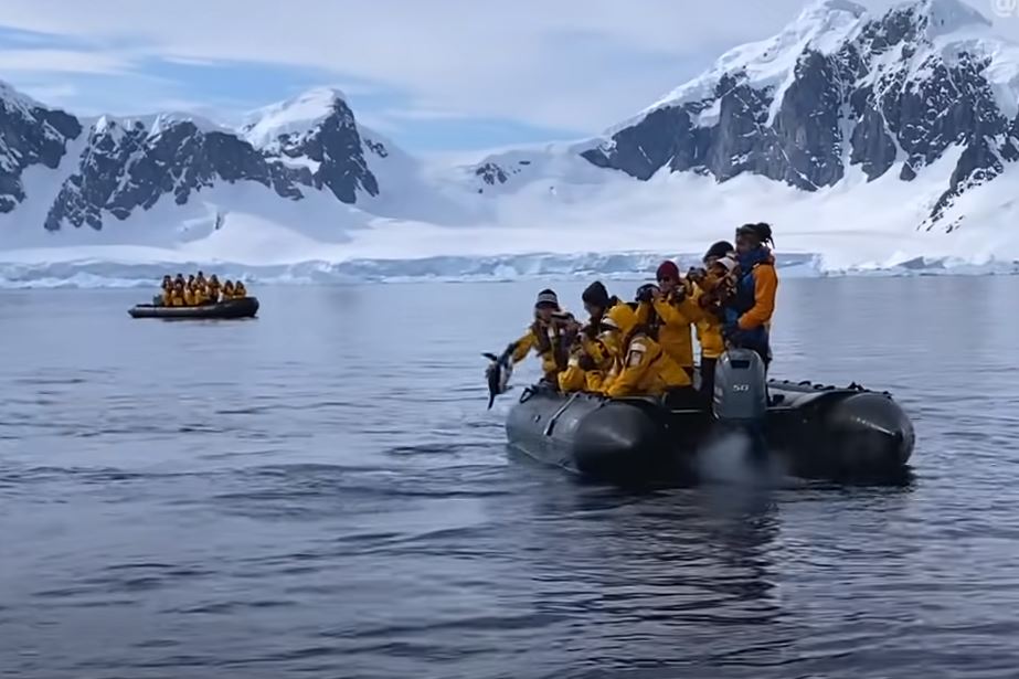 В Антарктиде пингвин спасся от касатки в лодке с туристами (ВИДЕО) 1