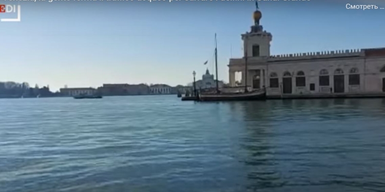 В каналы Венеции заплыли дельфины – прямо к площади Сан-Марко (ВИДЕО)