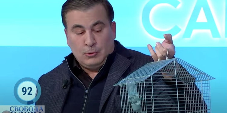 Саакашвили пришел к Шустеру с крысой и рассказал, где и сколько воруют в Украине (ИНФОГРАФИКА, ВИДЕО)