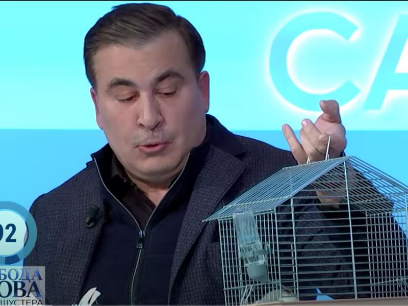 Саакашвили пришел к Шустеру с крысой и рассказал, где и сколько воруют в Украине (ИНФОГРАФИКА, ВИДЕО)