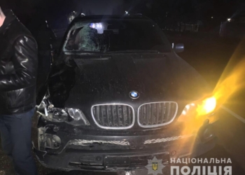 Под Николаевом BMW сбил мужчину. Полиция ищет свидетелей (ФОТО)