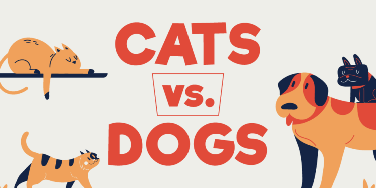 Кошки или собаки: SMM-специалисты подсчитали, кого больше любят в разных странах мира (ИНФОГРАФИКА)