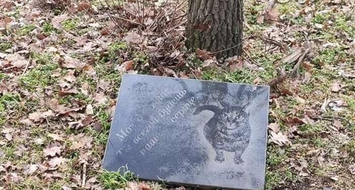 В Николаеве парк превращается в кладбище домашних животных (ФОТО)