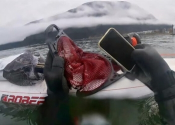 Что случилось с iPhone 11, который шесть месяцев пролежал на дне озера