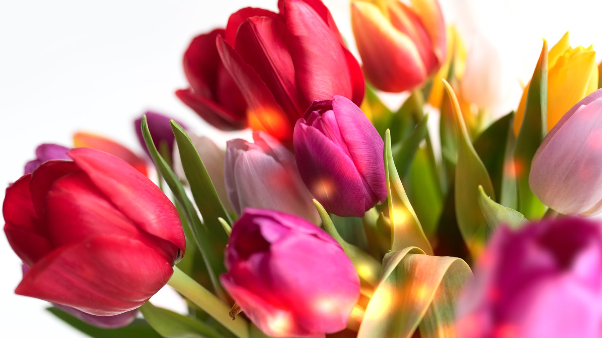 Без вас мы биосущества, с вами – люди, – Зеленский поздравил женщин с 8 Марта