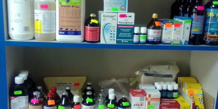 В Украине COVID-паника, граждане занялись самолечением, в том числе лошадиными дозами ветеринарных препаратов