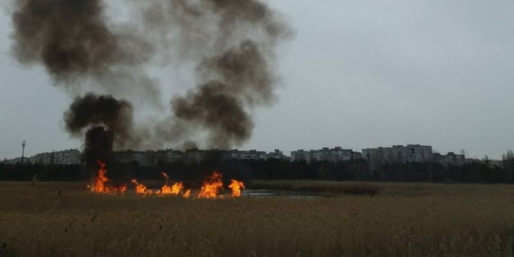 Опять поджоги: несколько раз тушили камыш на озере в парке «Лески» в Николаеве (ФОТО)