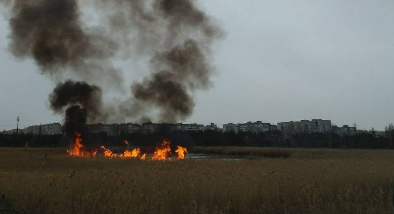 Опять поджоги: несколько раз тушили камыш на озере в парке «Лески» в Николаеве (ФОТО) 3