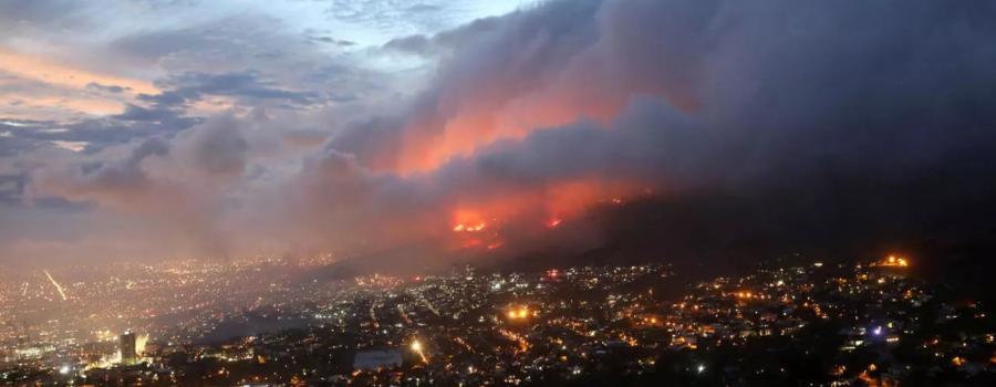 В ЮАР горит Столовая гора: уничтожены уникальные объекты, эвакуированы 50 тысяч человек (ФОТО, ВИДЕО) 13