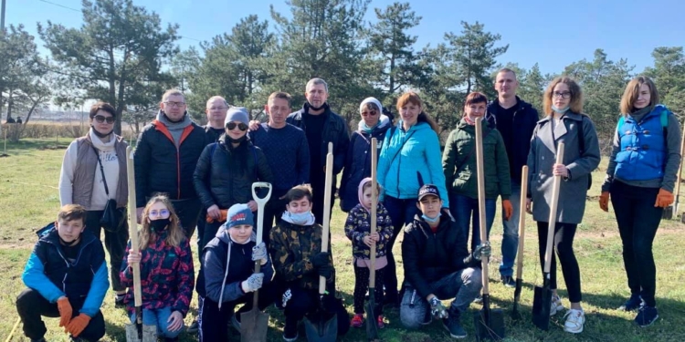 В Николаеве посадили 30 молодых сосен, которые подарила Львовская ОГА (ФОТО)