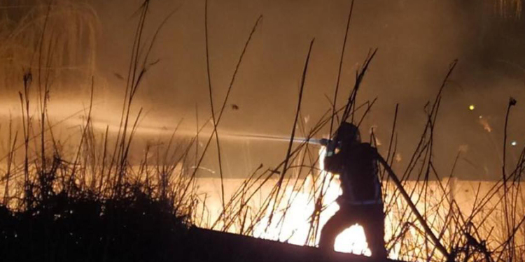 Снова поджог: спасатели тушили камыш в Гурьевке и Корабельном районе Николаева