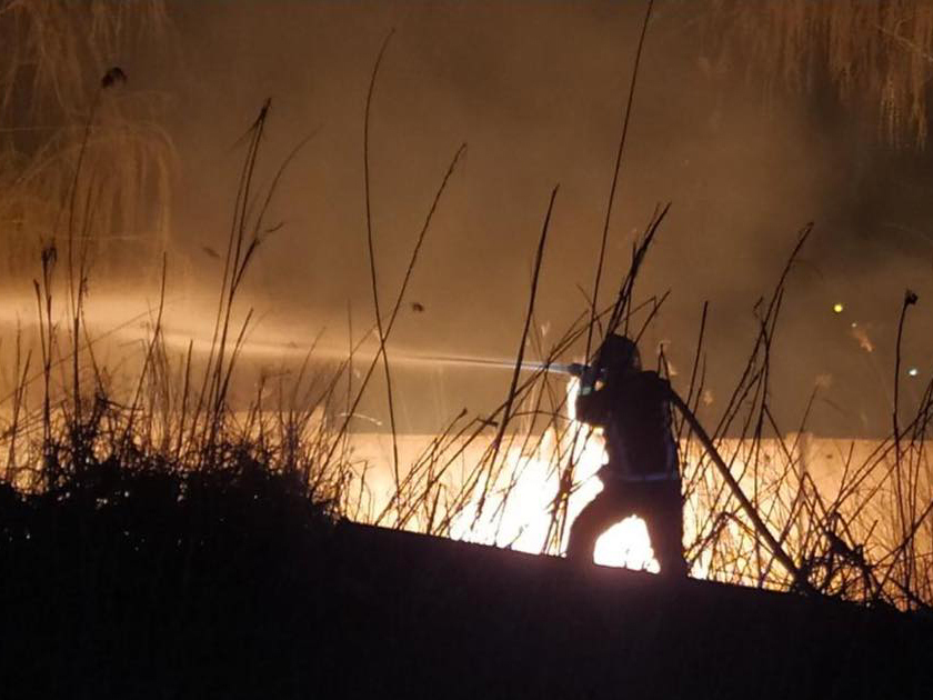Снова поджог: спасатели тушили камыш в Гурьевке и Корабельном районе Николаева 1
