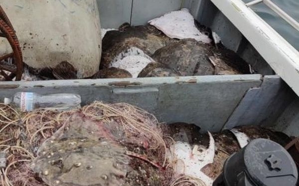 Задержанных ФСБ очаковских моряков обвинили в браконьерстве и присудили штраф в 257 тыс.рублей