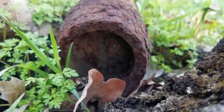 В николаевском парке на Космонавтов мужчина нашел артснаряд (ФОТО)
