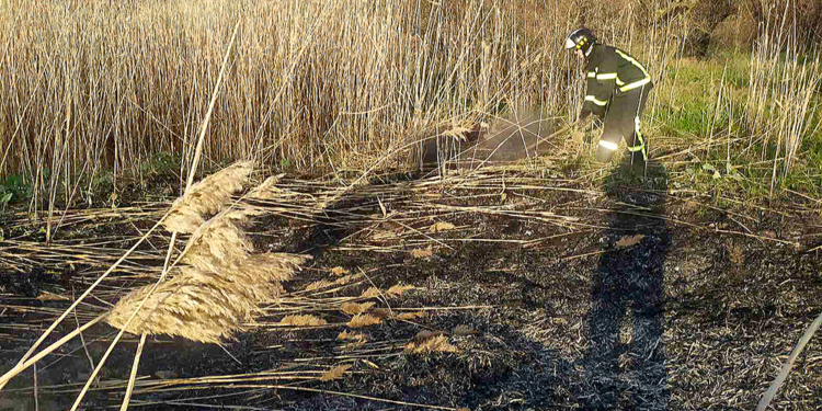 Снова поджог. В Корабельном районе Николаева тушили камыш