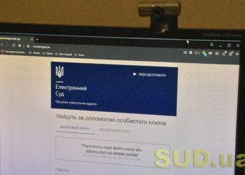 ЕИБ и ЕБРР готовы дать Украине денег для электронных судов