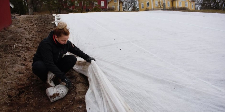 Первые украинские сезонные рабочие уже трудятся в Финляндии. И там говорят, что надо еще