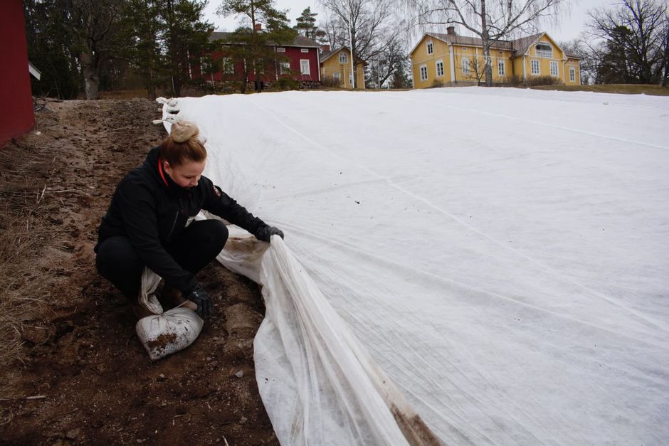 Первые украинские сезонные рабочие уже трудятся в Финляндии. И там говорят, что надо еще 1