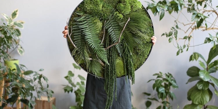 Украинская художница создает картины из мха и смолы – они остаются свежыми до 10 лет (ФОТО)