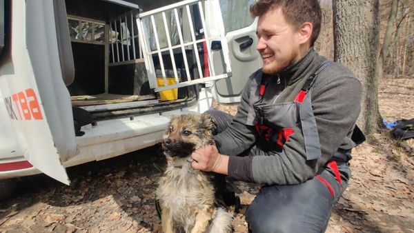 Под Харьковом спасли пса, который неделю плавал на льдине 1