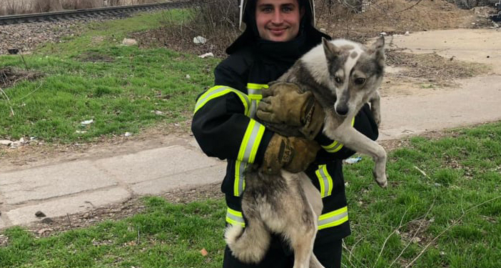 В Николаеве спасатели вытащили из колодца собаку – выла страшно (ФОТО)