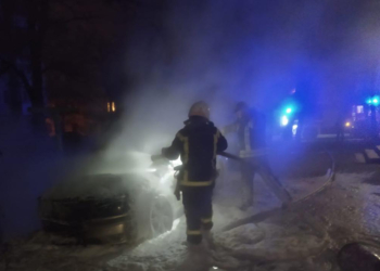 Николаевские спасатели тушили камыши и авто (ФОТО)