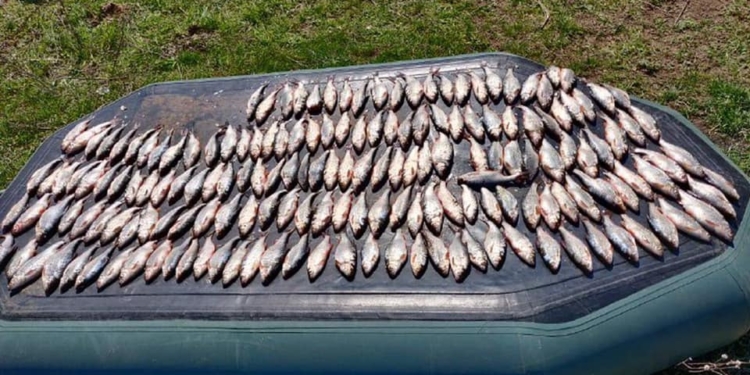 Запрет же! Николаевский рыбоохранный патруль поймал браконьеров, наловивших сетями 32 кг мелочевки (ФОТО)