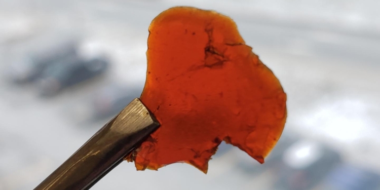 Замена полиуретану. Канадские ученые создали экопластик из рыбных отходов