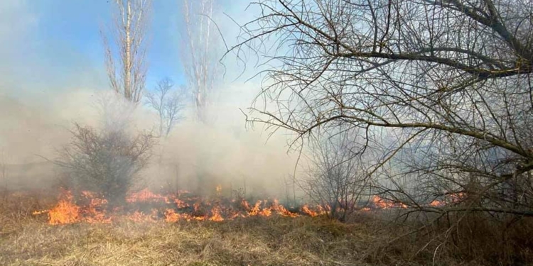 Спасатели Николаевщины потушили 4 га горящего леса (ФОТО)