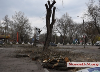 В Николаеве полиция задержала колдуна за незаконную рубку деревьев в центре города (ВИДЕО)