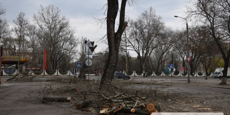 В Николаеве полиция задержала колдуна за незаконную рубку деревьев в центре города (ВИДЕО)