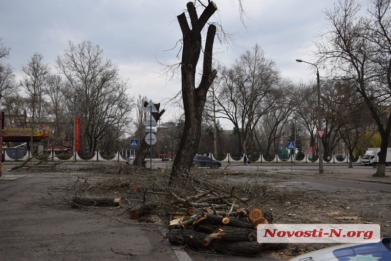 В Николаеве полиция задержала колдуна за незаконную рубку деревьев в центре города (ВИДЕО) 1
