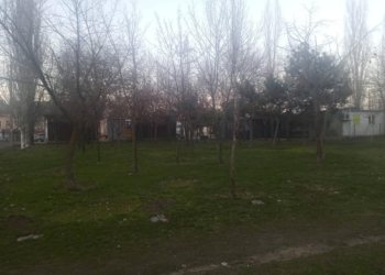 Разрешений нет, но стройка будет? В Николаеве снесут 68 деревьев и на территории сквера таки построят АТБ (ДОКУМЕНТЫ, ВИДЕО)