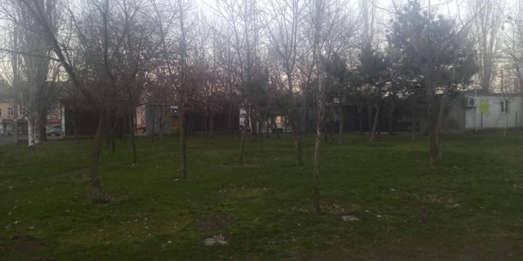 Разрешений нет, но стройка будет? В Николаеве снесут 68 деревьев и на территории сквера таки построят АТБ (ДОКУМЕНТЫ, ВИДЕО)