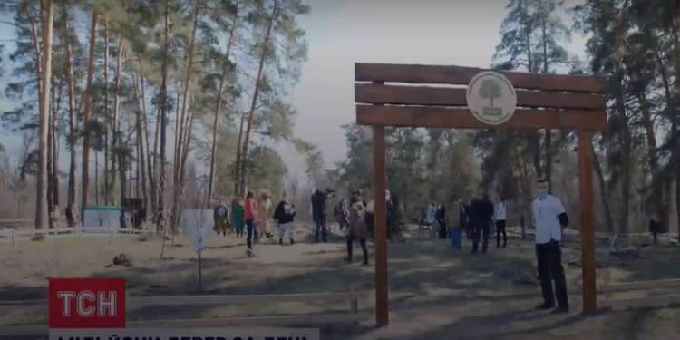 В Украине за 1 день высадили более 4 млн. деревьев и установили мировой рекорд по озеленению (ВИДЕО)