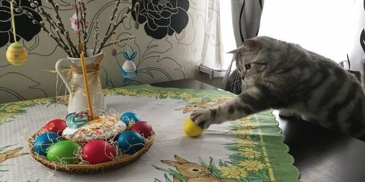 Синоптики прогнозируют грозы на Пасху