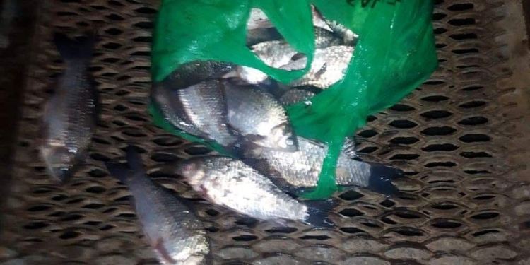 В Николаеве патрульные задержали мужчину, который в Ингульском районе ловил рыбу «пауком» (ФОТО)